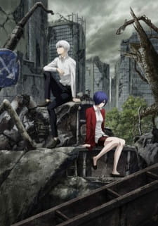 Tokyo Ghoul:re 2 Dublado