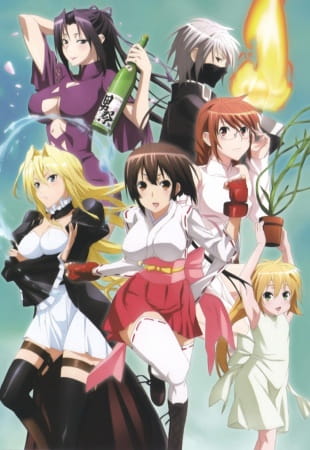 Sekirei: Pure Engagement