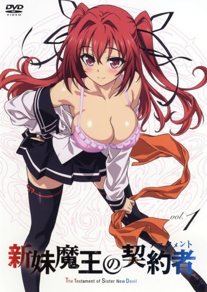 Shinmai Maou no Testament 2